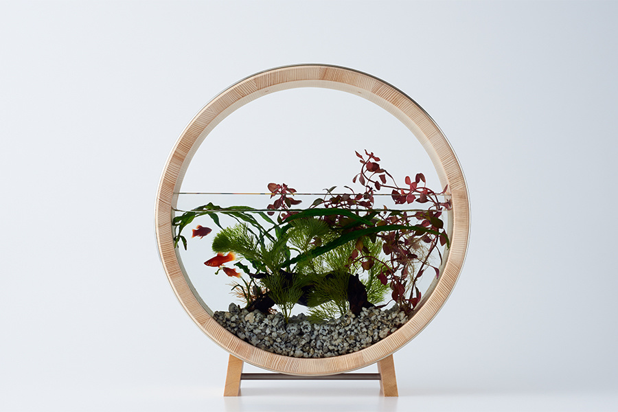 top2018-02-00114.jpg